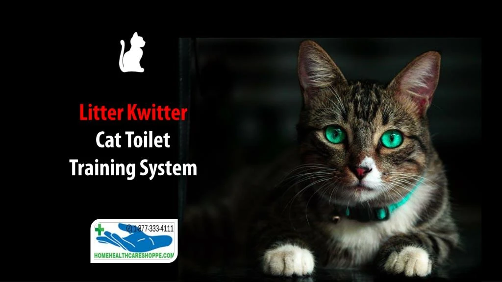 litter kwitter cat toilet training system