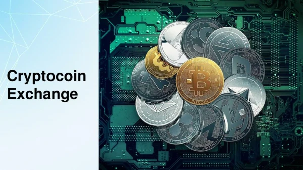 Choose the Best Cryptocoin Exchange With the Help of Following Factors