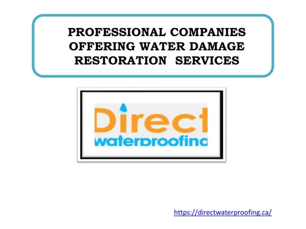 PROFESSIONAL COMPANIES OFFERING WATER DAMAGE RESTORATION SERVICES