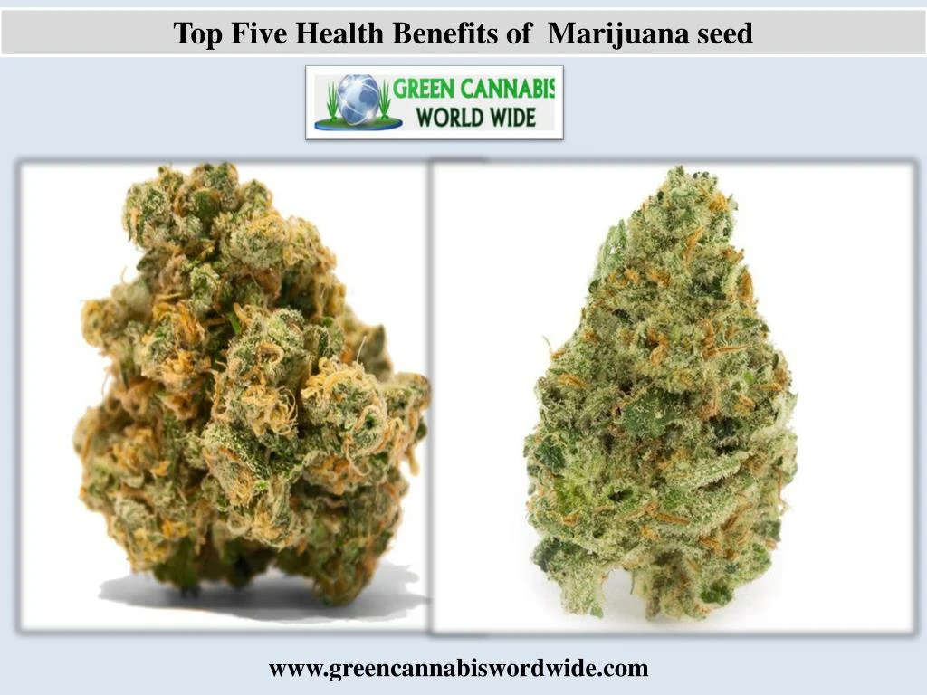 top five health benefits of marijuana seed