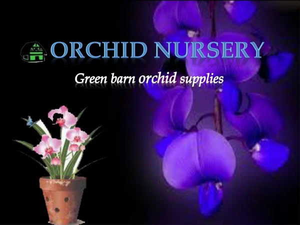 Wonderful Orchid Nursery - Green Barn Orchid Supplies