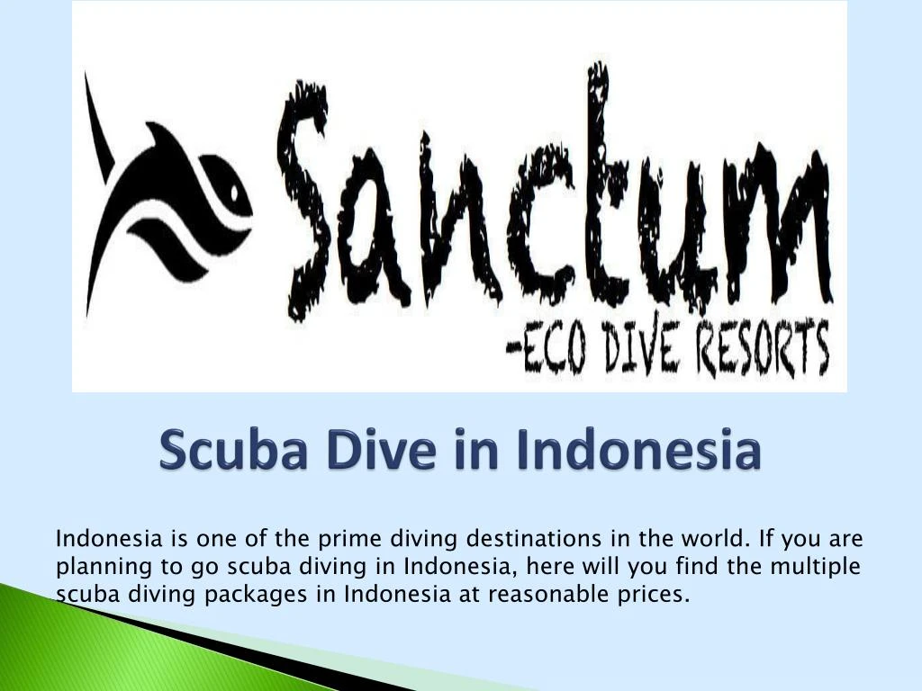 scuba dive in indonesia