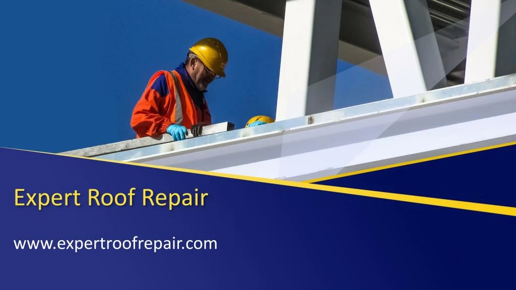 expert roof repair