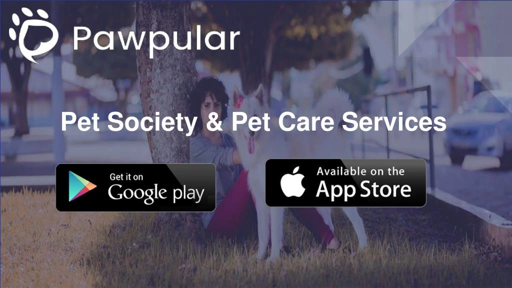 pet society pet care services
