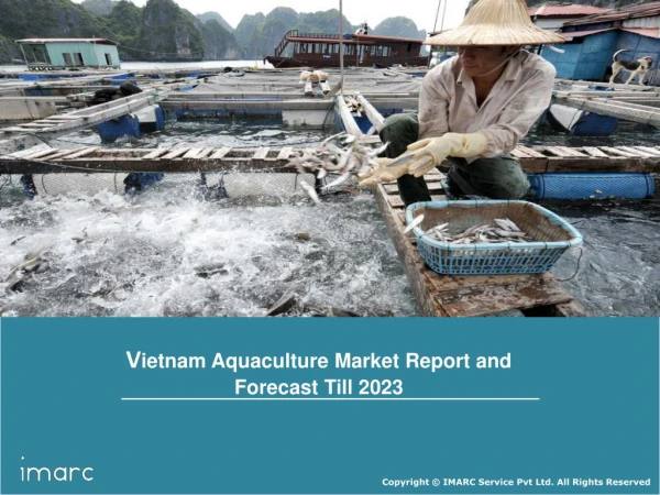 Vietnam Aquaculture Market Trends, Growth, Business Strategy and Outlook by 2023