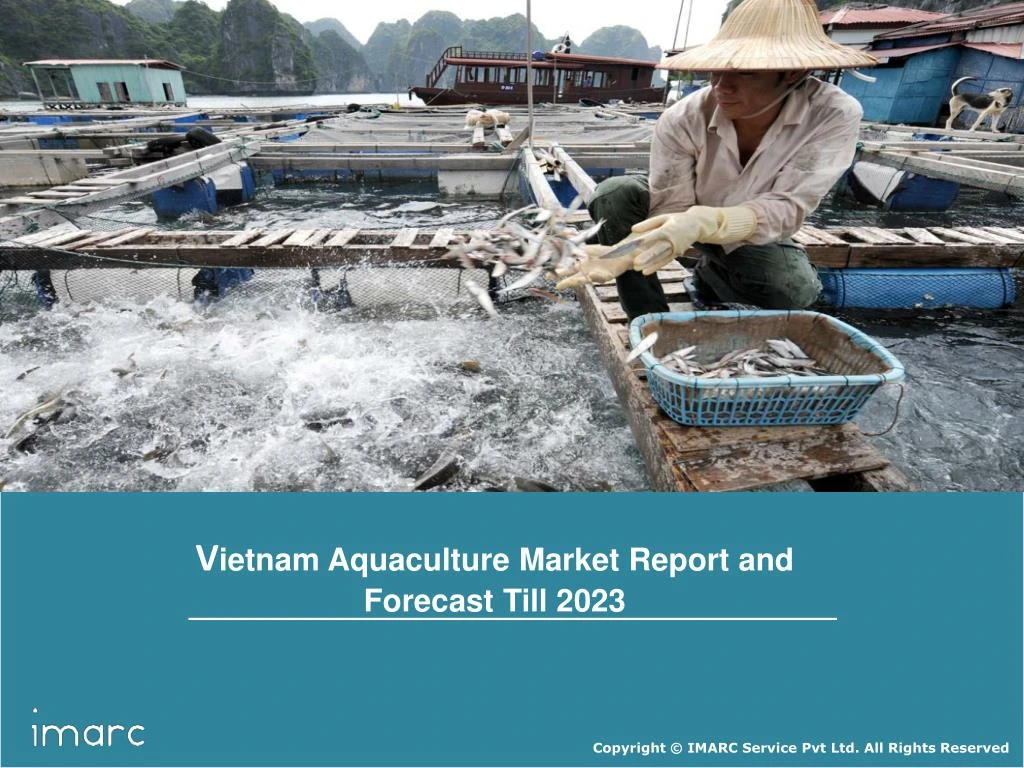 v ietnam aquaculture market report and forecast
