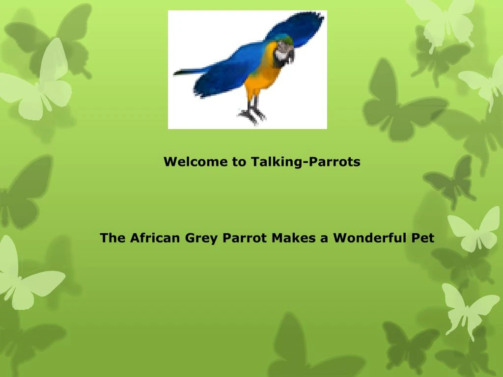welcome to talking parrots