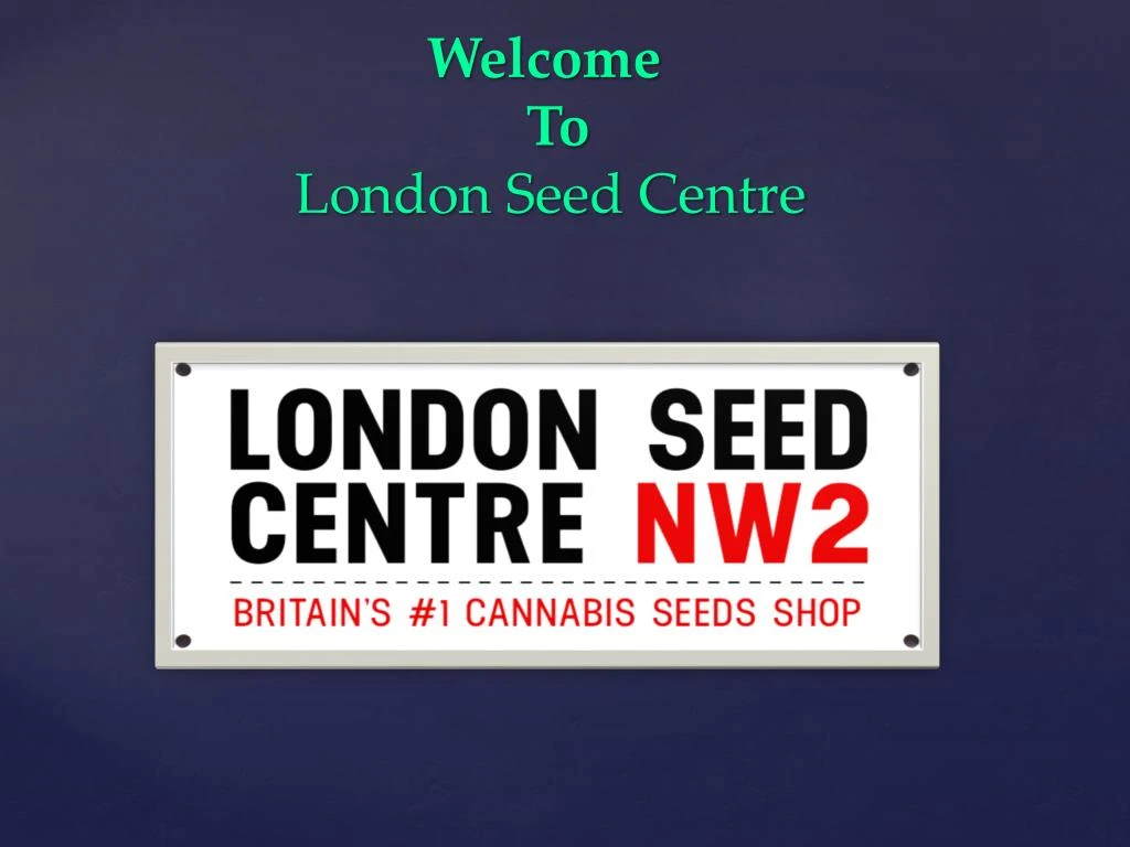 welcome to london seed centre
