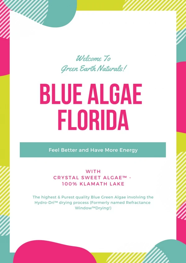 Blue Algae Florida