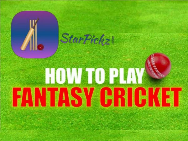 Play cricket and win cash prizes