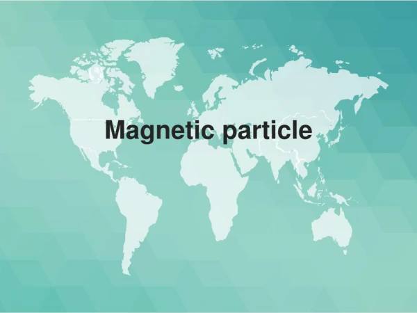 Magnetic particle