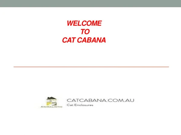 Outdoor Cat Enclosures Melbourne | Cat Net Sydney | Cat Cabana