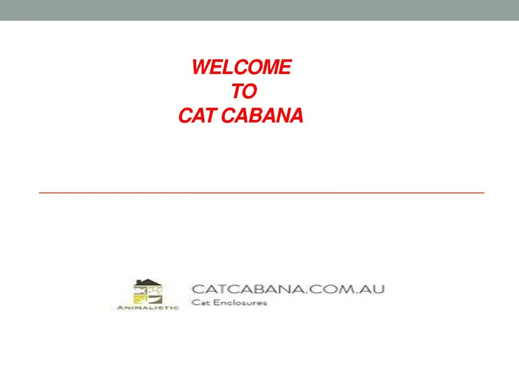 welcome to cat cabana