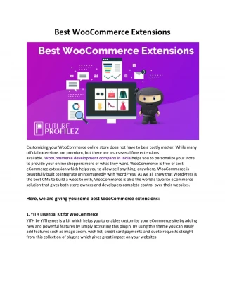Best WooCommerce Extensions - slide 1