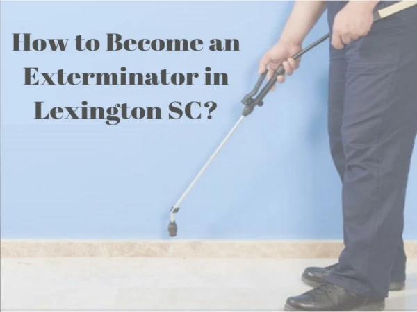 How to Become an Exterminator in Lexington SC?