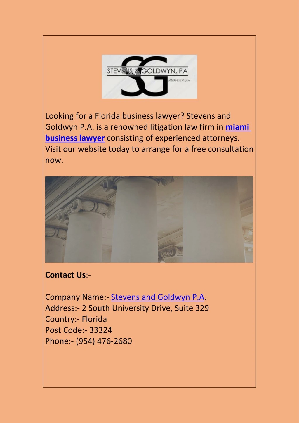 looking for a florida business lawyer stevens