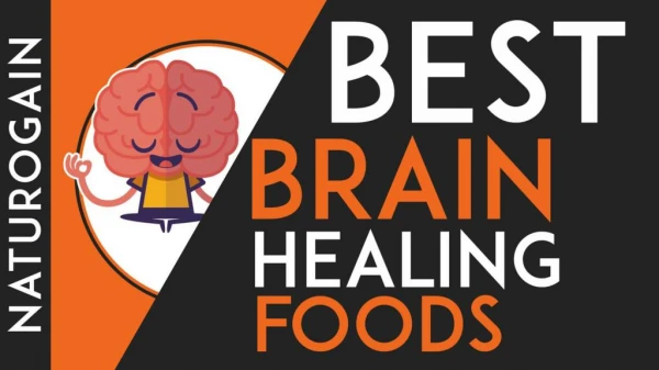 20 Best Brain Healing Foods That Increase Concentration While Studying