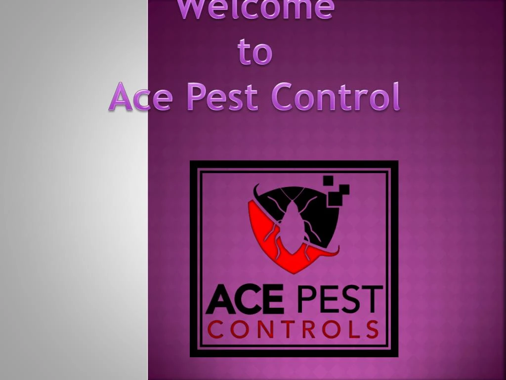 welcome to ace pest control
