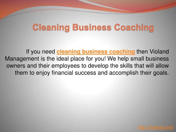 Cleaning Business Coaching