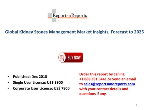 Kidney Stones Management Market - Global Industry Analysis, Size, Share, Growth, Trends, and Forecast 2019– 2025