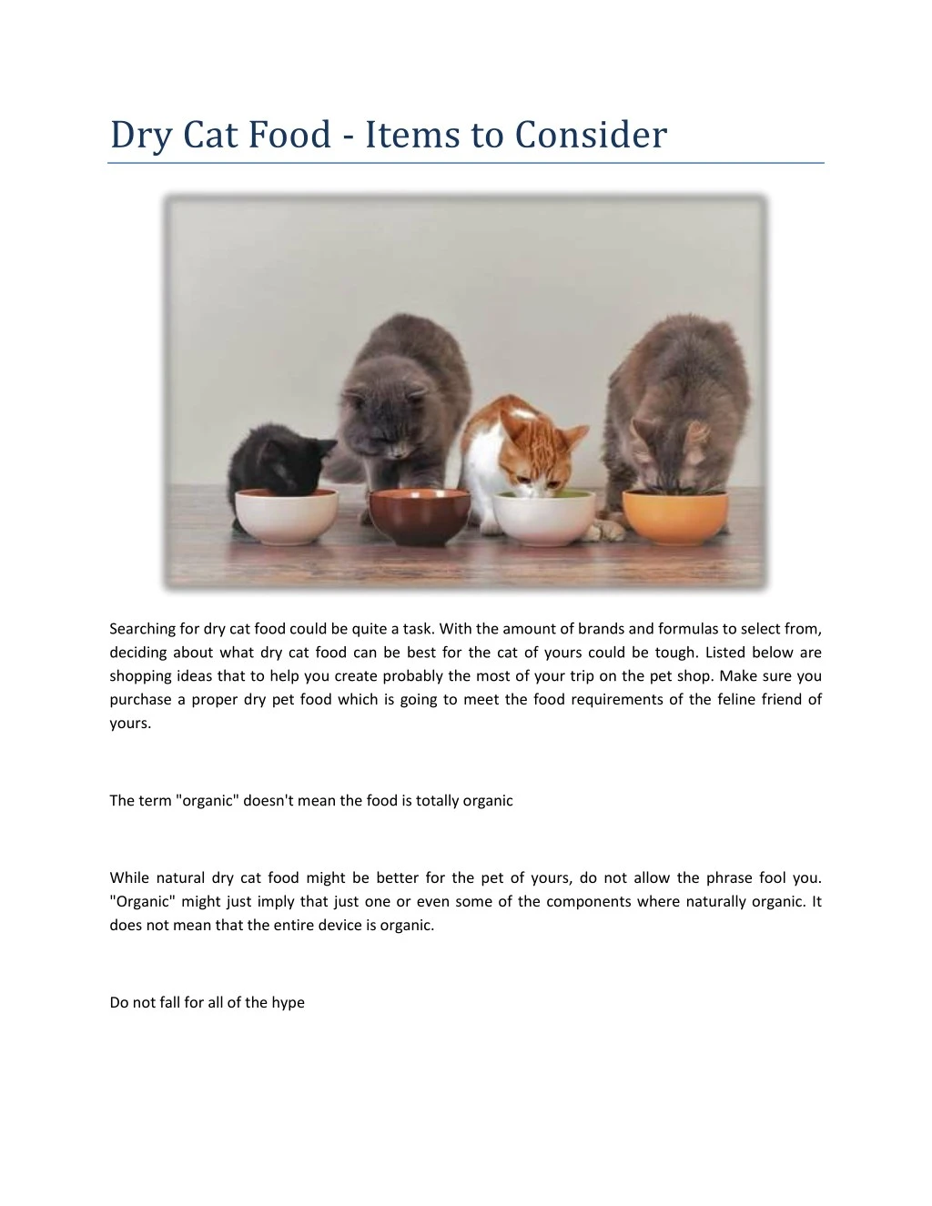 dry cat food items to consider