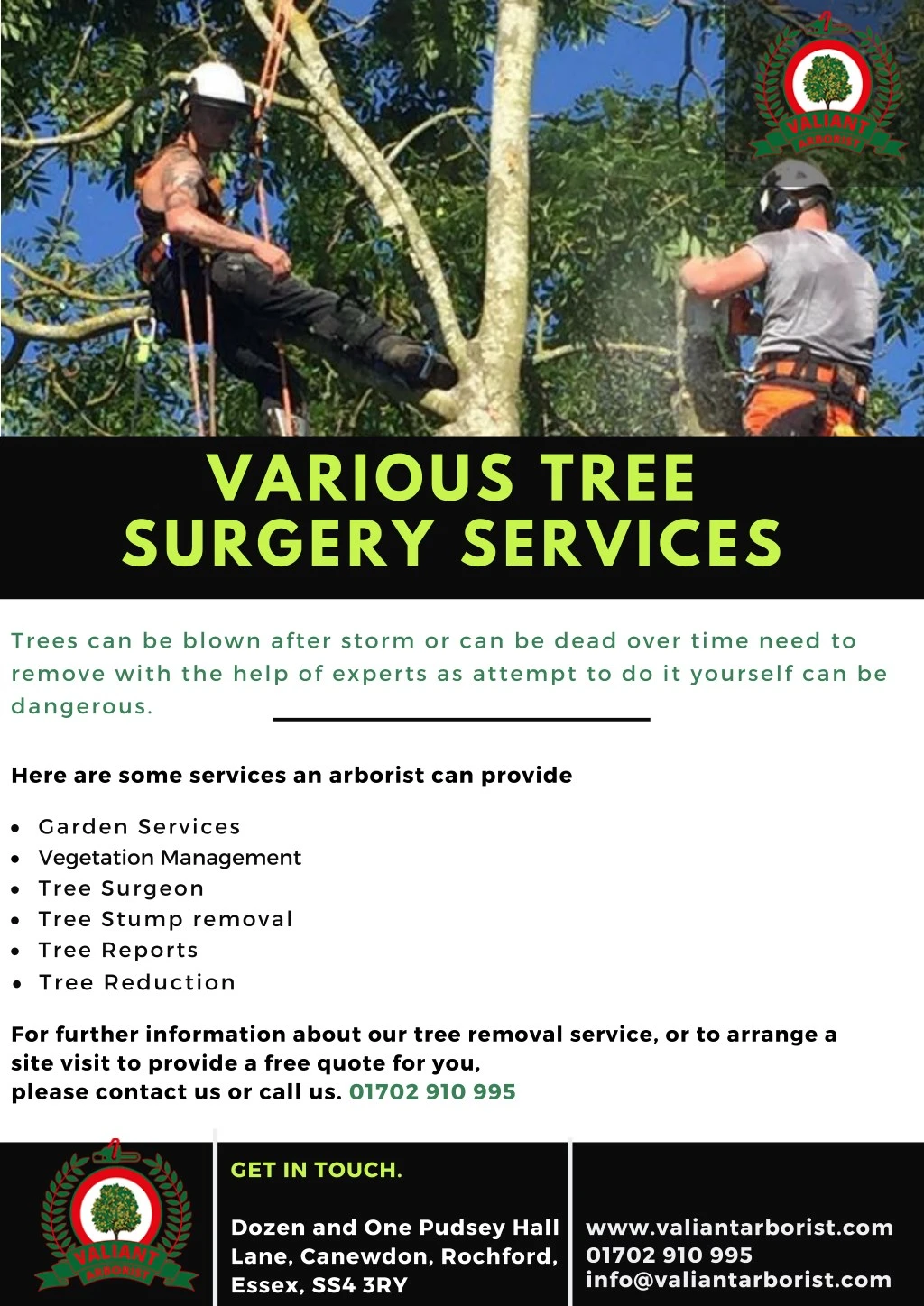 various tree surgery services