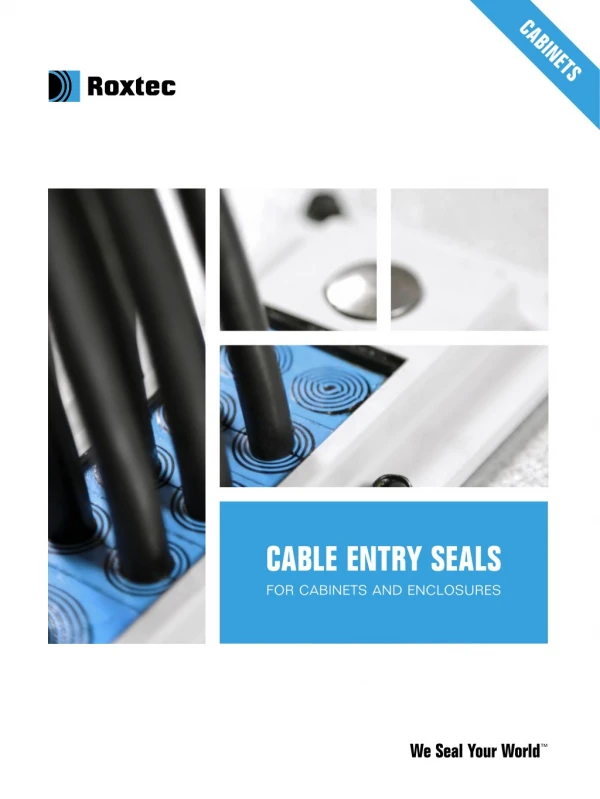 Roxtec Cable Entry Seals for Cabinets