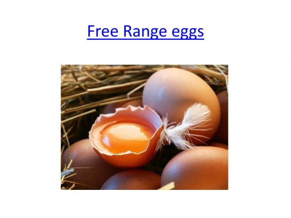 Free Range eggs - Happy hens