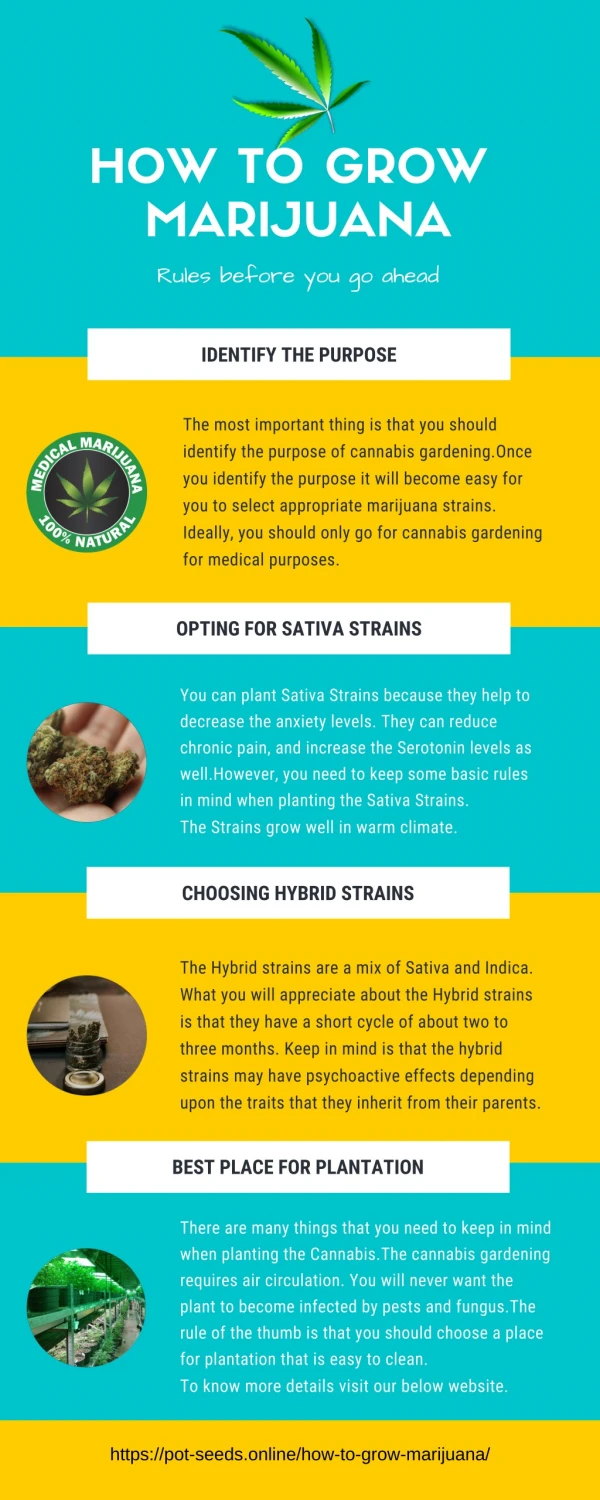 How to grow Marijuana