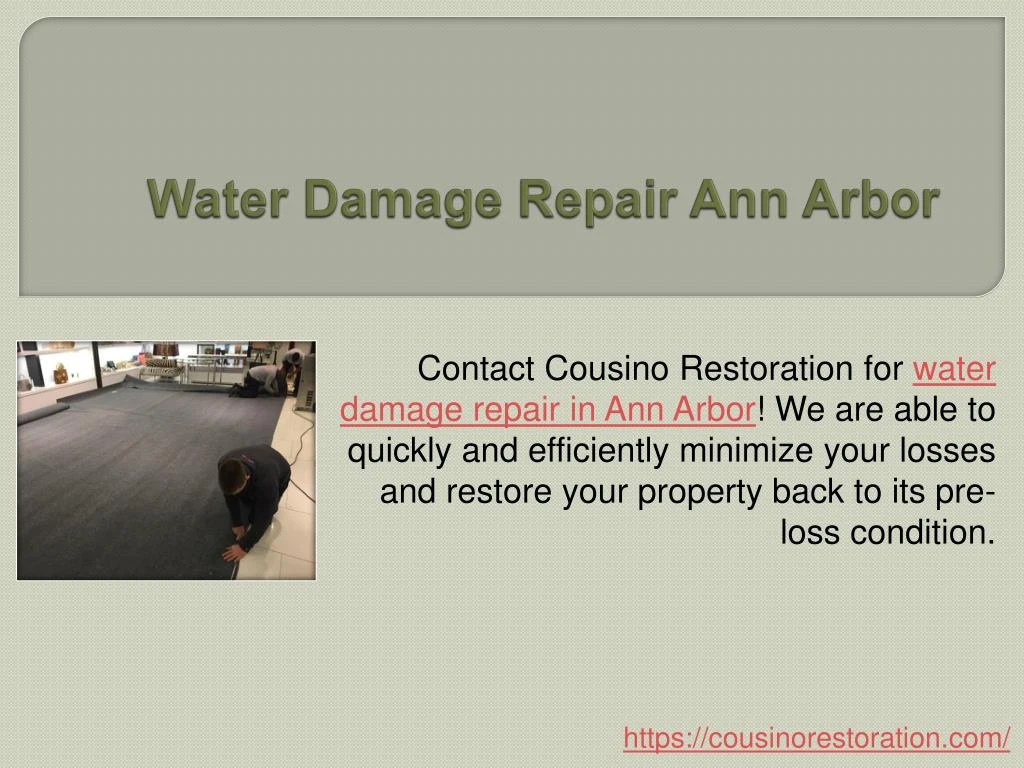 water damage repair ann arbor