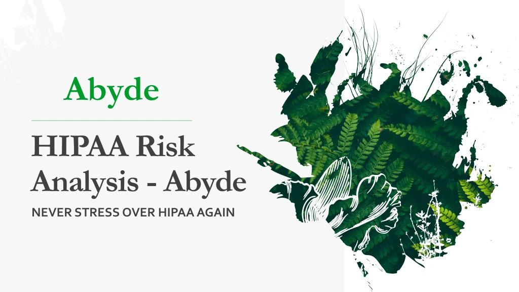 hipaa risk analysis abyde