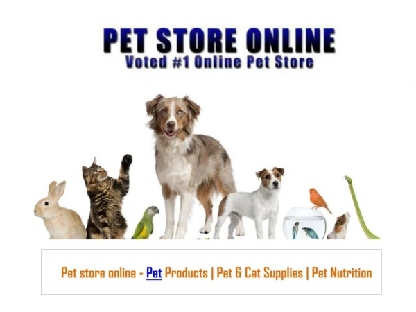 Pet store online - Pet Products | Pet & Cat Supplies