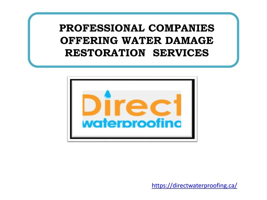 professional companies offering water damage