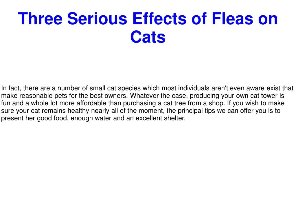 three serious effects of fleas on cats