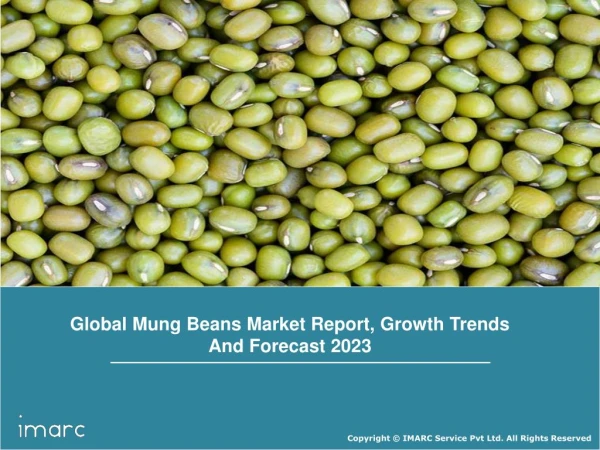 Mung Beans Market Global Industry Trends, Share, Growth, And Forecast To 2023