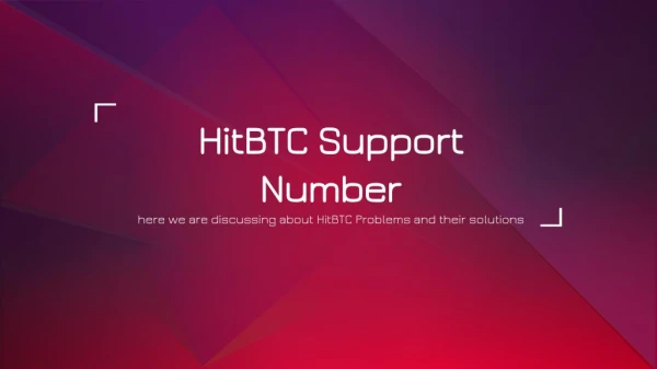 HitBTC Support Number