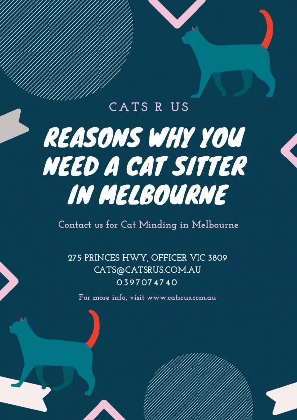 10 Reasons Why You Need a Cat Sitter in Melbourne - Cats R Us