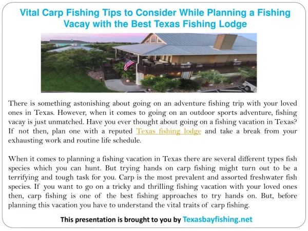 Vital Carp Fishing Tips to Consider While Planning a Fishing Vacay with the Best Texas Fishing Lodge