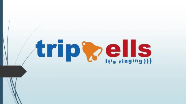 Dubai Based Destination Management Company | Tripbells | Company Profile
