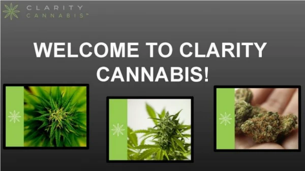Basics of Bud - Part 1 | Clarity Cannabis