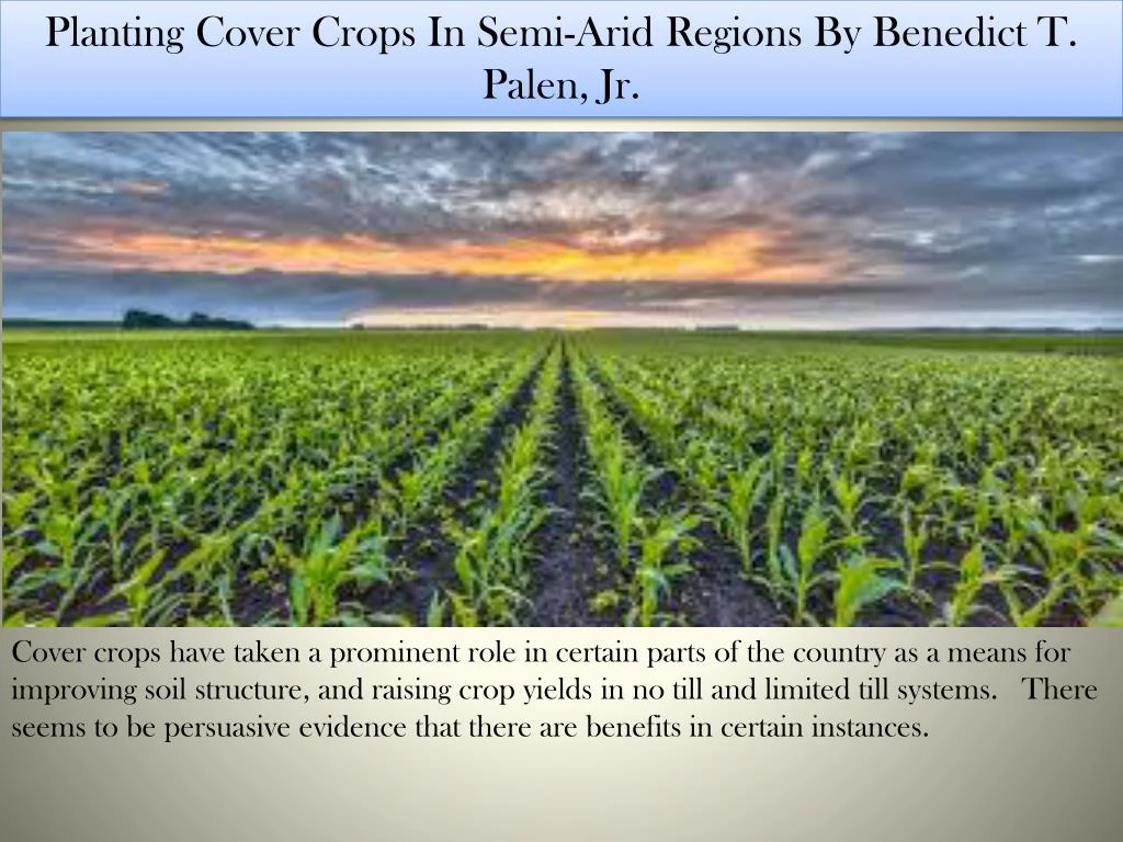 planting cover crops in semi arid regions