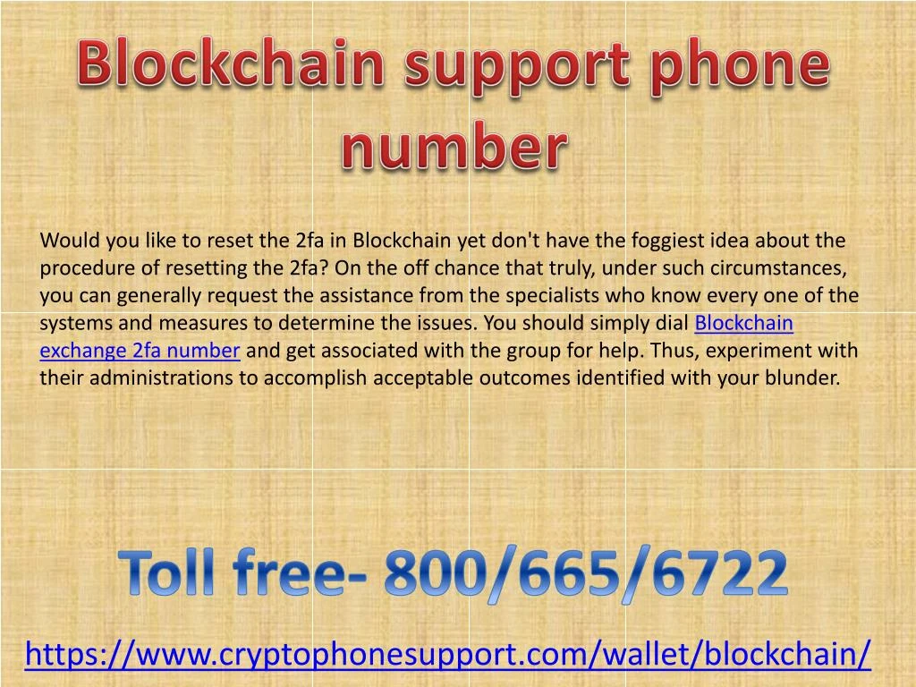 blockchain support phone number