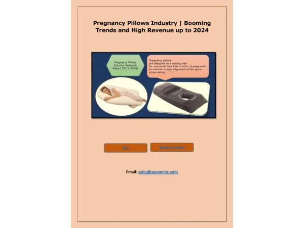 Pregnancy Pillows Industry Professional Survey Report 2019 to 2024