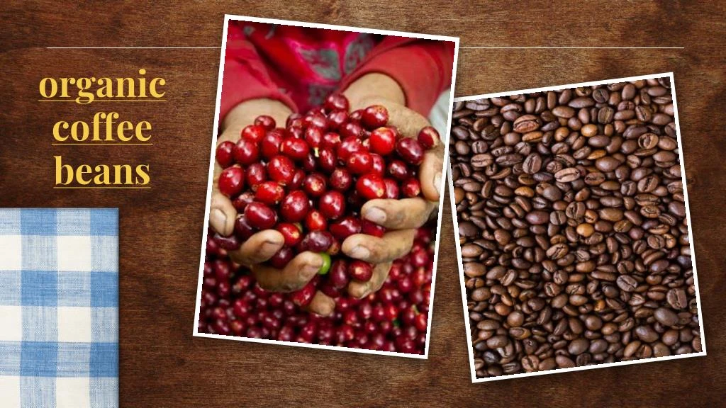 organic coffee beans