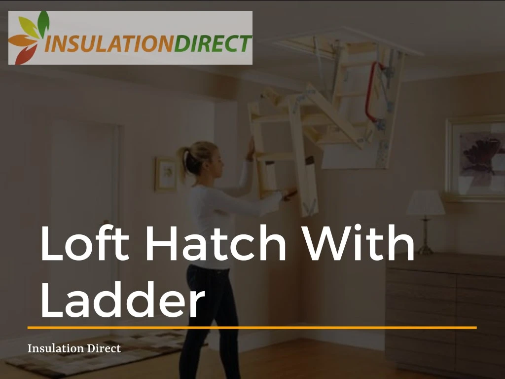 loft hatch with ladder