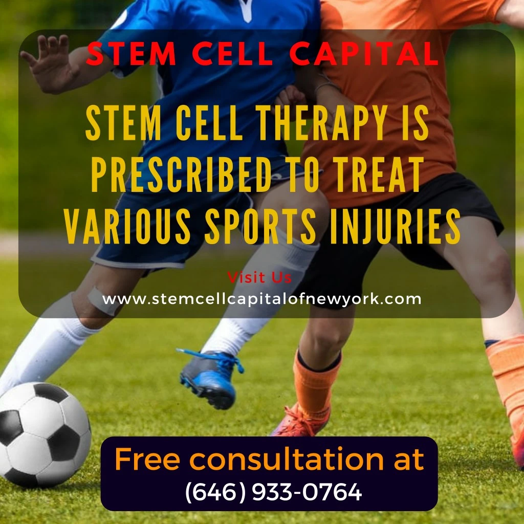 stem cell capital