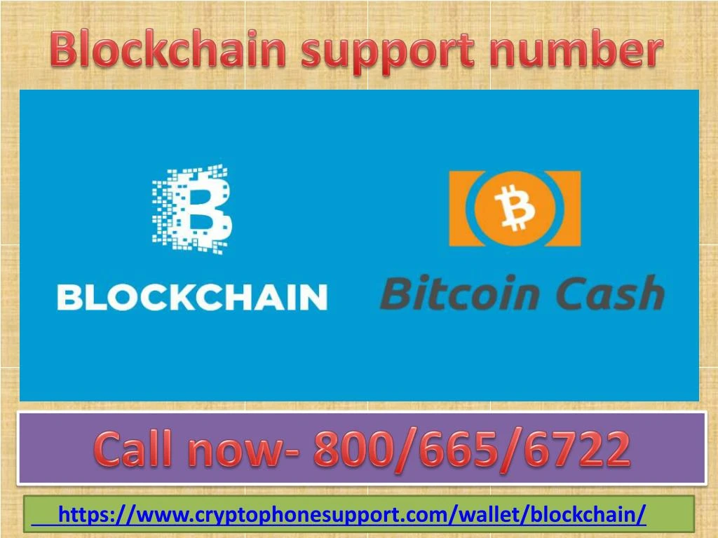 blockchain support number