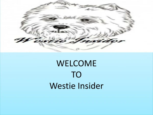 West Highland White Terriers | Westies | WestieInsider.com