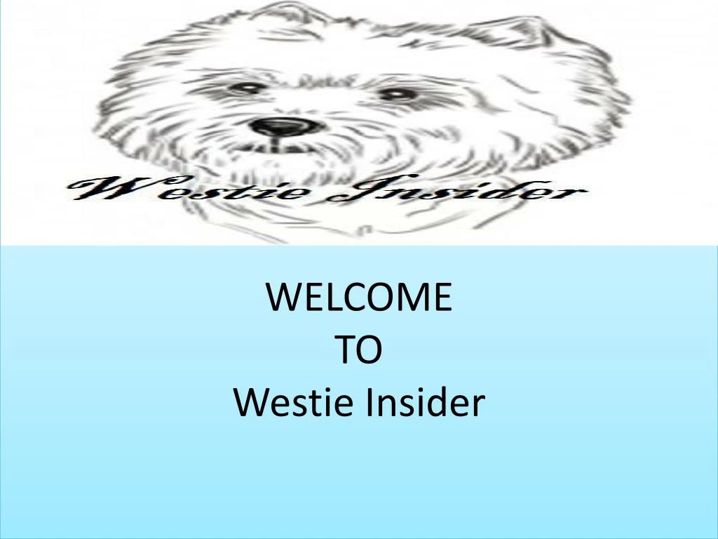 welcome to westie insider