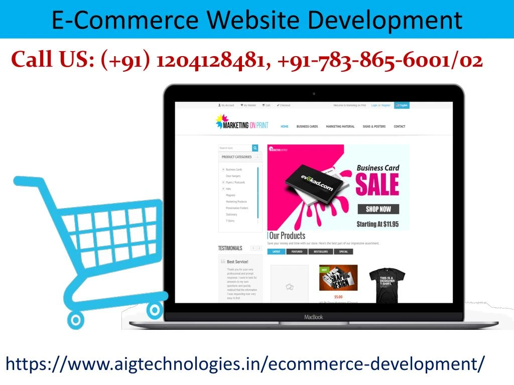 e commerce website development